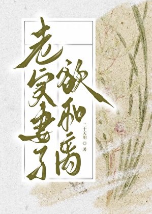 《老實妻子欲和離》